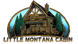Little Montana Cabin